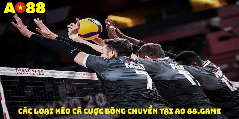 Các loại kèo cá cược bóng chuyền tại AO 88.game